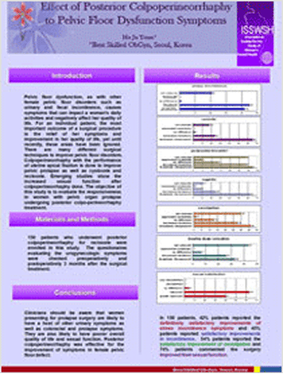 골반기능 장애에서 회음부 질성형수술의 효과